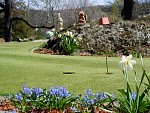 DSC04263.JPG