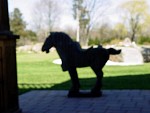 DSC04298.JPG