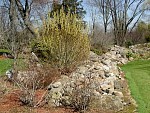 DSC04302.JPG