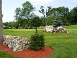 DSC00102.jpg