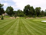 DSC00103.jpg
