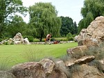 DSC00106.jpg