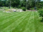 DSC00292.jpg