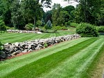 DSC00293.jpg