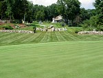 DSC00295.jpg