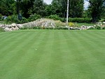 DSC00296.jpg