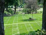 DSC00307.jpg