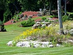 DSC00359.jpg