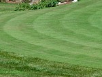 DSC00363.jpg