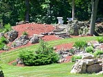 DSC00367.jpg