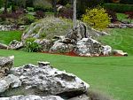 DSC05593.jpg