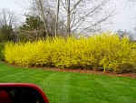 DSC03576.jpg