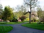 DSC03605.jpg