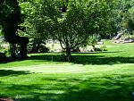 DSC04101.jpg