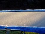 DSC08640.jpg