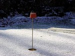 DSC06376.jpg