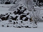 DSC06692.jpg