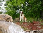 DSC07343.jpg