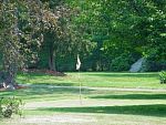DSC07453.jpg