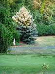 DSC07769.jpg
