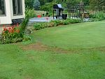 DSC07770.jpg