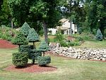 DSC07776.jpg