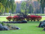 DSC01243.jpg