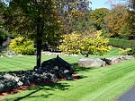 DSC01050.JPG