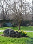 DSC00019.jpg