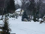 DSC07972.jpg