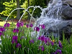 DSC05520.JPG