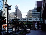 DSC06226.jpg