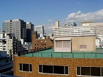 DSC06230.jpg