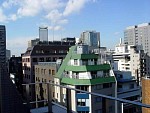 DSC06231.jpg