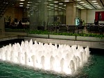 DSC06239.jpg