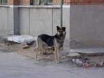 DSC06319.jpg