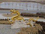 DSC06342.jpg