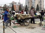 DSC06352.jpg