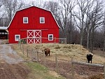 DSC03401.jpg