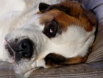 DSC01888.jpg