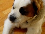DSC00201.JPG