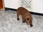 DSC06088.JPG