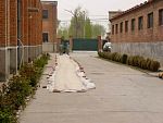 DSC06830.jpg