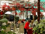 DSC06875.jpg