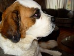 DSC02408.jpg