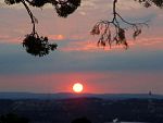 DSC07175.JPG