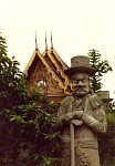 129.jpg