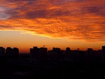 DSC09600.jpg
