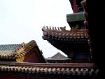 DSC09620.jpg