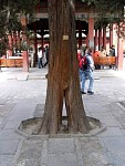 DSC09633.jpg